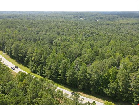402 Rocky Plains Road - 31.84 Acres (Yellow River Tract 5)
