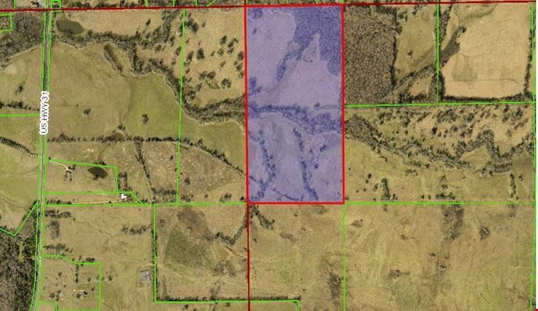 Holleman Tract Lot