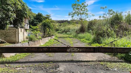 73 Developable Acres in Dorado - For Sale