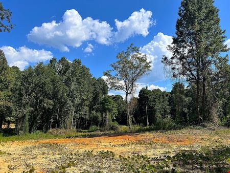 VacantLand space for Sale at Red Hill Lot in Eclectic