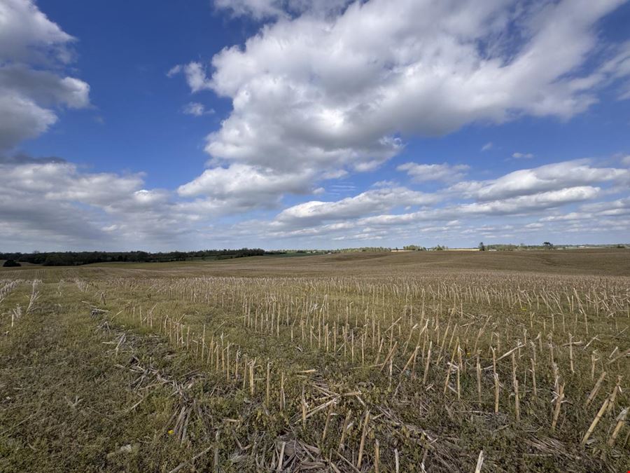 Live/Online Auction – Prime Land Buying Opportunity! 83+/- Acres in 10 Parcels