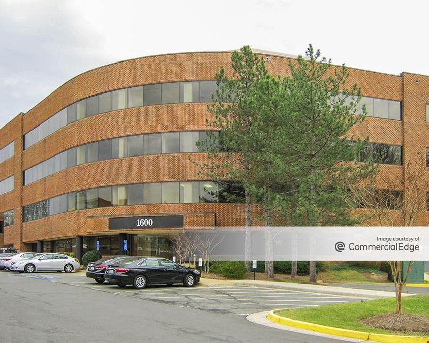 Tysons Pond I