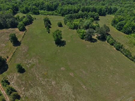 Conyers Road - 59.82 Acres