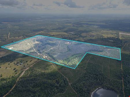 VacantLand space for Sale at Ranch, Hunt & Invest: 280± Acres of Productive Timberland in SE Washington County in Alford