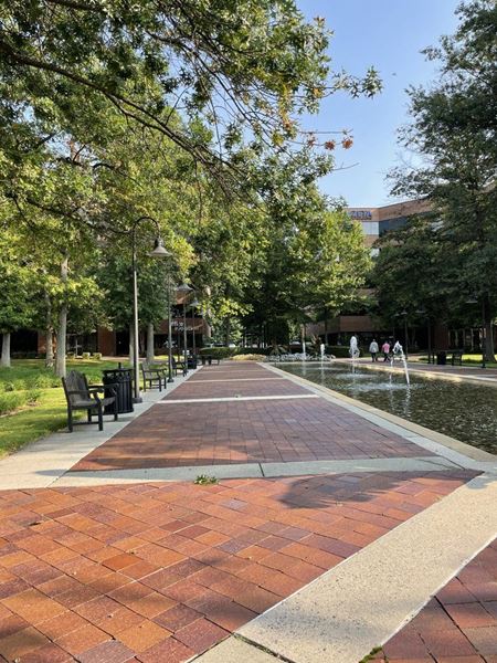 Commercial space at WillowWood Plaza II in Fairfax