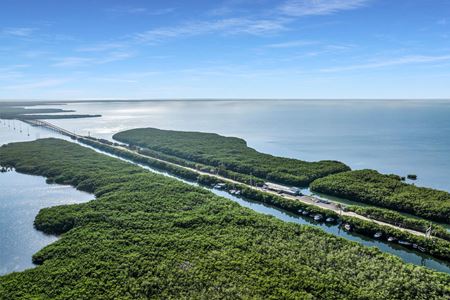 Unassigned space for Sale at Alabama Jacks in Key Largo