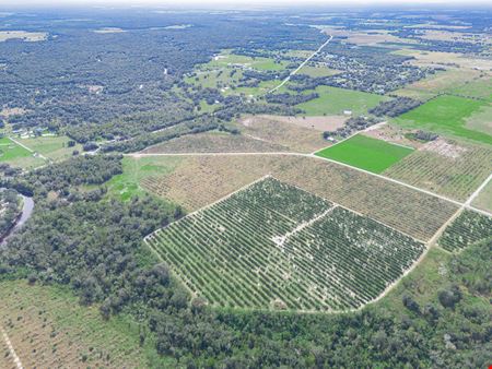 Peace River Mixed-Use Development Tract — 114± Acres | 18± AC Commercial | 2,179′ on SR-64