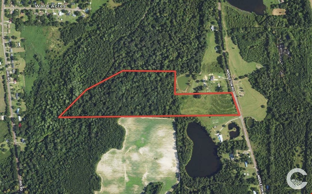 29 +/- Recreation / Residential Land in Houston County, AL