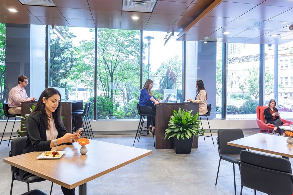 Serendipity Labs - White Plains Downtown