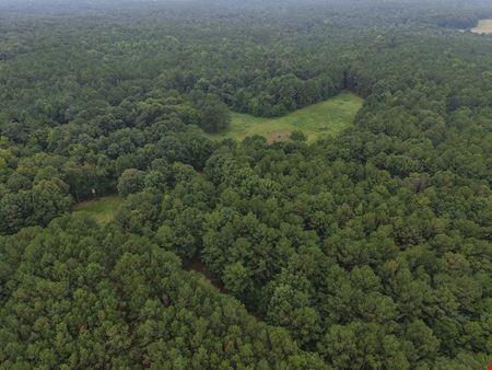 Dub Walker Rd - 314.47 Acres