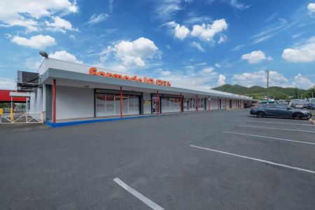 Retail space for Rent at GLENVIEW GARDENS CENTER in PONCE