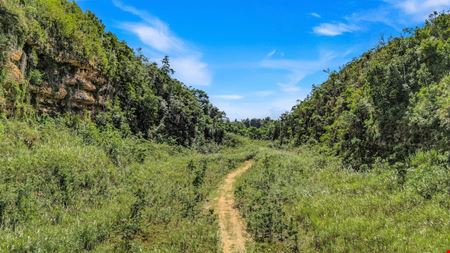 73 Developable Acres in Dorado - For Sale