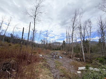 Route 3 North, Carroll, NH (lots 43 & 46)