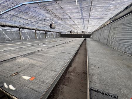 Turn Key Greenhouse Operation