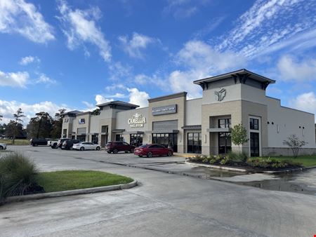 Retail space for Rent at Dominion Plaza Shopping Center in Lake Charles