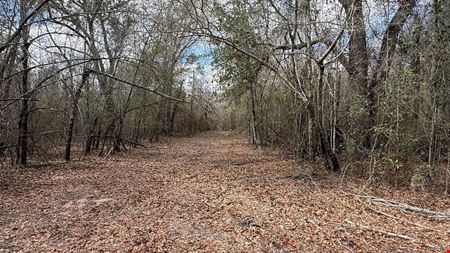 65 Acres Near Lake Seminole – Hunting and Recreation Land