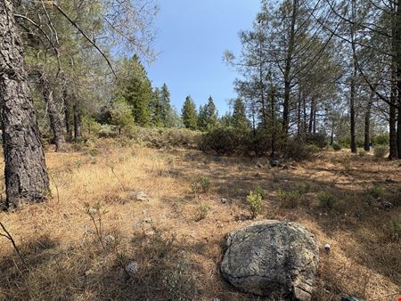1250 Whispering Pines Ln