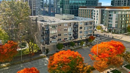 Multi-Family space for Rent at Limestone Court Apartments in Bellevue