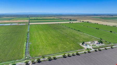 Clarksburg Vineyard Land