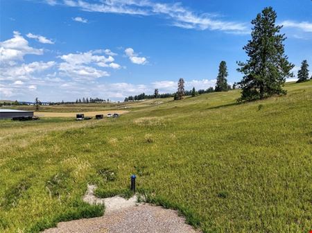 151 Barkley Ridge Trail