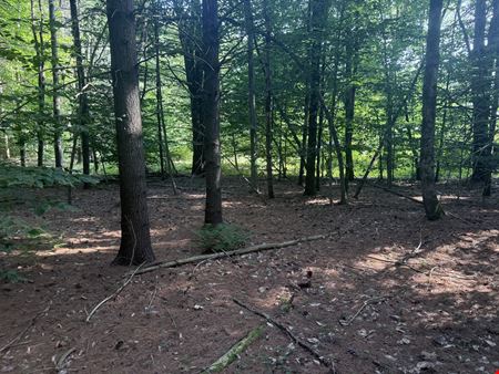VacantLand space for Sale at 375 Ormsbee Rd in Porter Corners