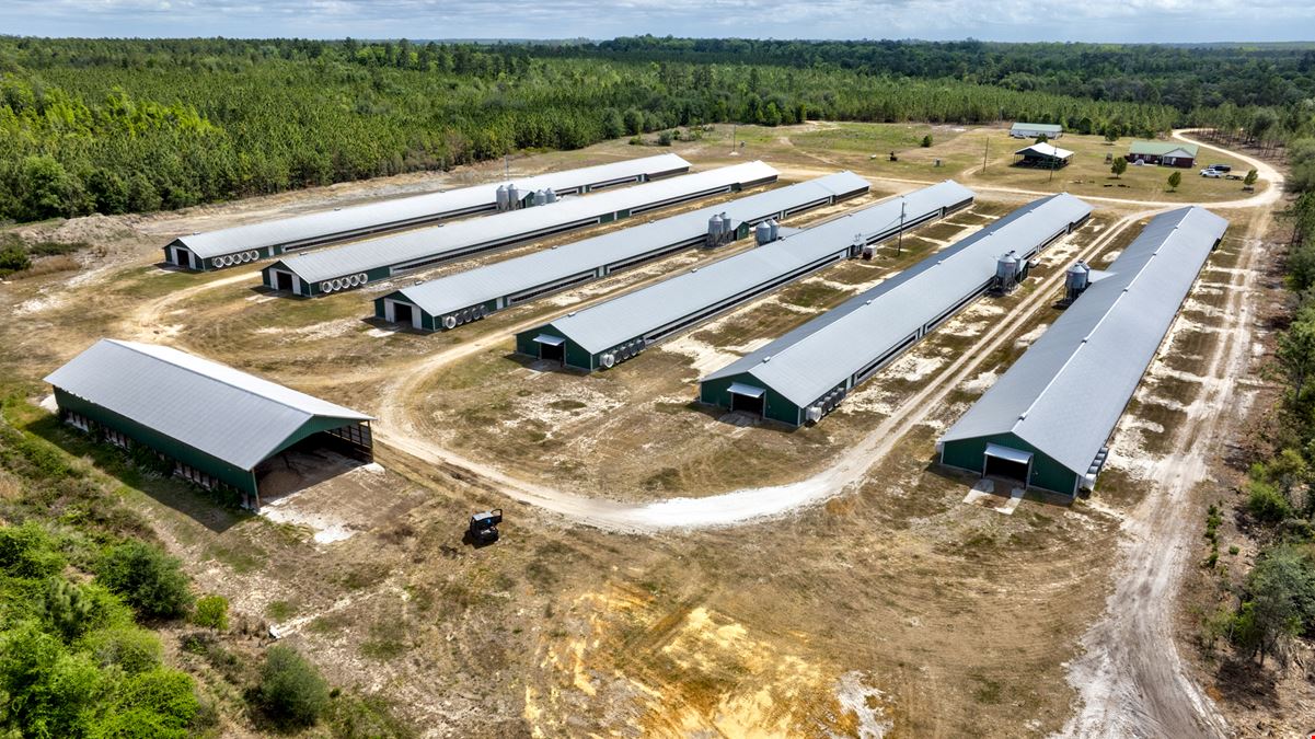 Timber Ridge Farm