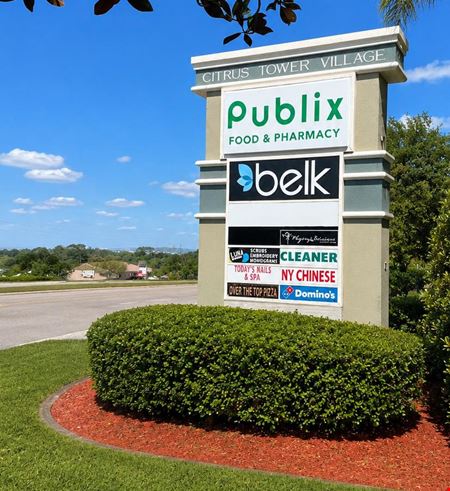 210 Citrus Tower Blvd