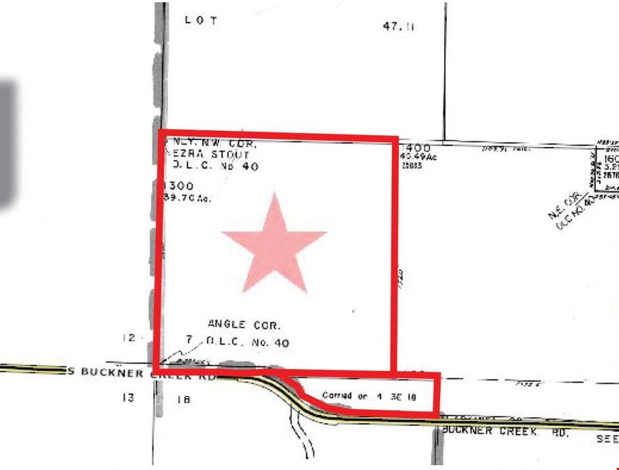 43.92 Acre Timber Investment Opportunity
