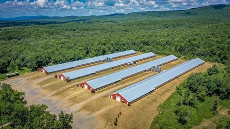 Unassigned space for Sale at Mena AR Broiler Chicken Farm in Mena