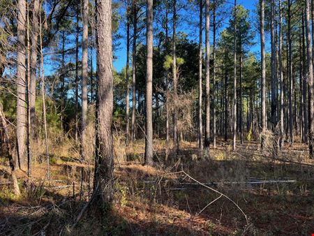 Lily Pad Ranch | 1,472± Acre Private Springs Retreat with Lodge & Timber – Northwest Florida