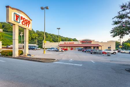 Retail space for Rent at Food City - 319 Chickamauga in Rossville