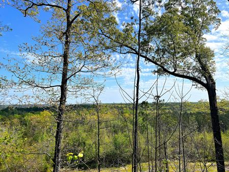 VacantLand space for Sale at The Barrett Place in Marbury