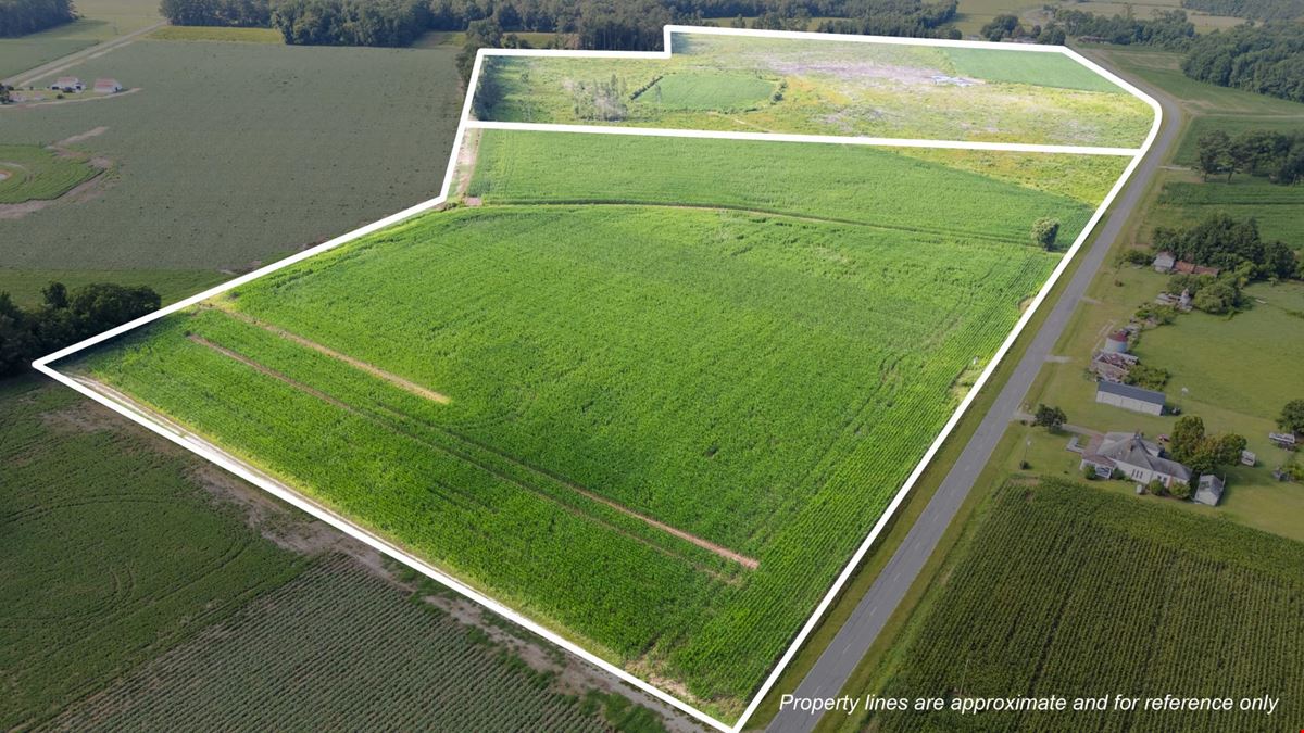 Smithfield, NC- 144 acre tract