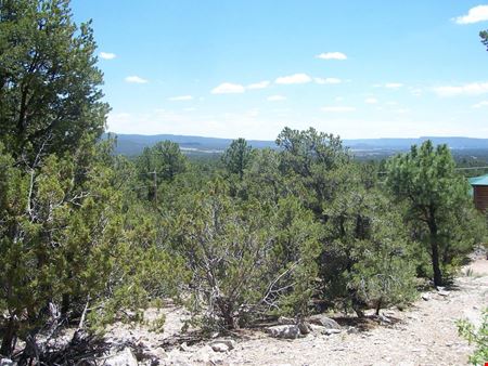 VacantLand space for Sale at County Road B-52 in Pecos