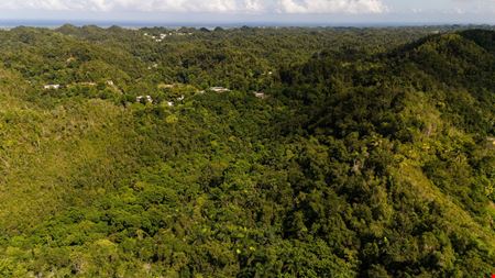 Arecibo Vacant Land @ Arrozal Ward - For Sale