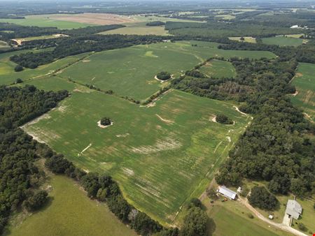 305.50 Acres Campbellton Land Development Opportunity