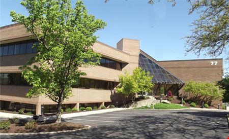 The Elmwood Galleria