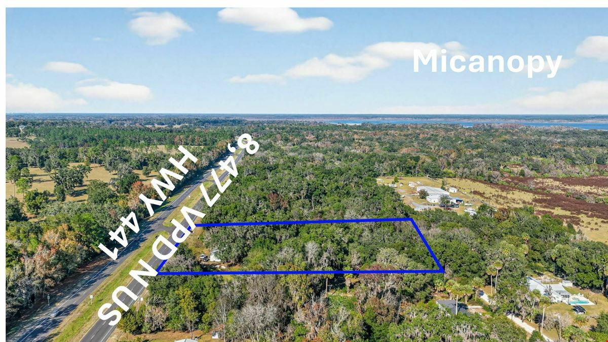 MICANOPY