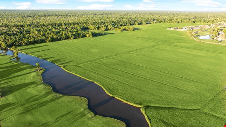 234.1847+/- acres Parcel C & D, Belle Terre Boulevard
