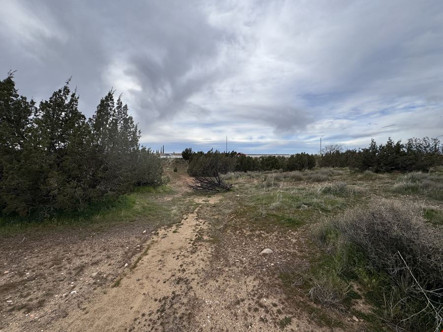 Pearblossom Hwy