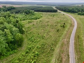 Beaver Creek Tract