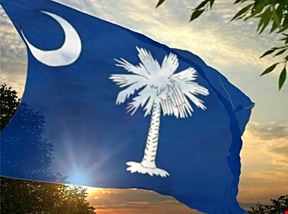 Twenty-Five Year Portfolio of Tax Sale Properties Across South Carolina Up to 100