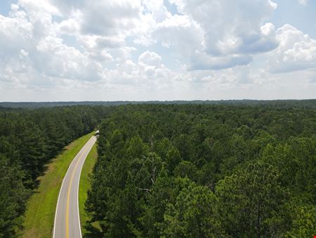 402 Rocky Plains Road - 31.84 Acres (Yellow River Tract 5)