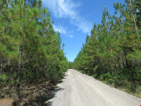 Dunn Creek Tract