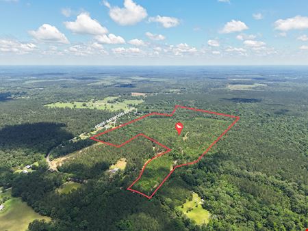 VacantLand space for Sale at ±95.62 Acres of Rural Land in Greenwell Springs in Greenwell Springs