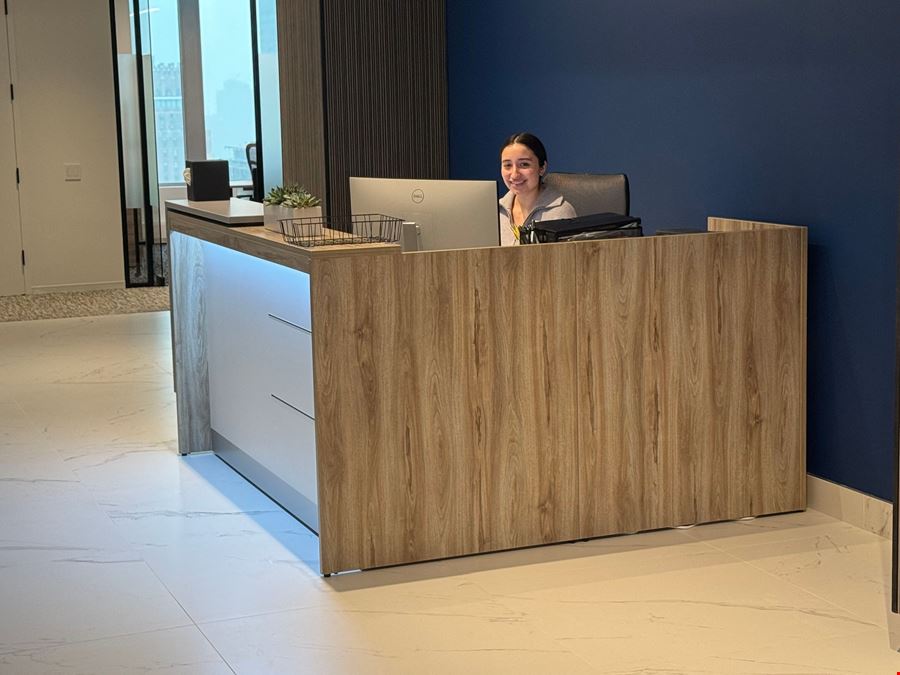 Stark Office Suites - 825 Third Avenue