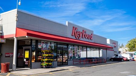 Retail space for Rent at North Woodmere - Hygrade Shopping Center in Valley Stream