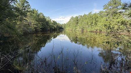 305.50 Acres Campbellton Land Development Opportunity