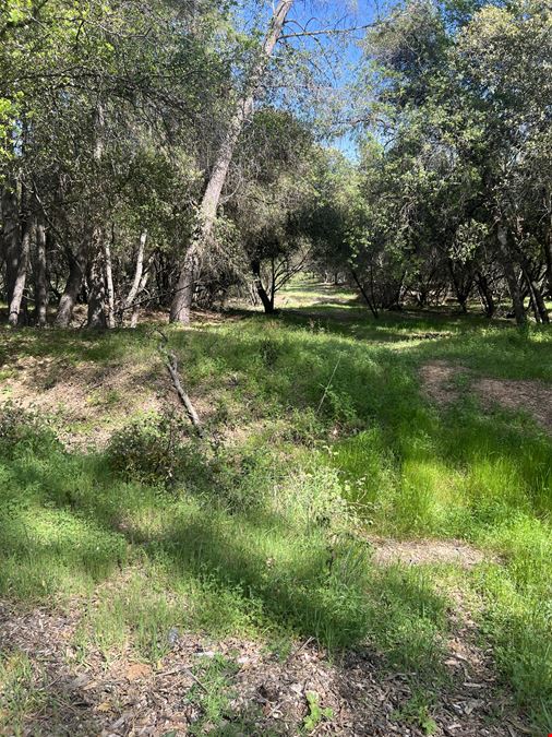 Diamond Springs Land