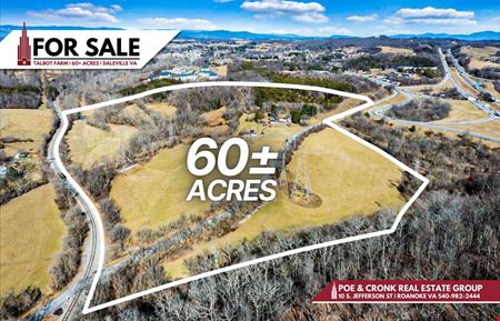 VacantLand space for Sale at 60 Acres at I 81 Exit 150 in Daleville